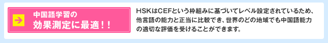 中国語学習の効果測定に最適!!