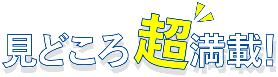見どころ超満載!